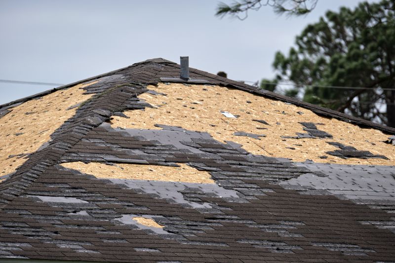 Roof Damage Repair